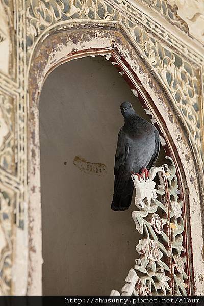 Ind_Day4_0156.JPG