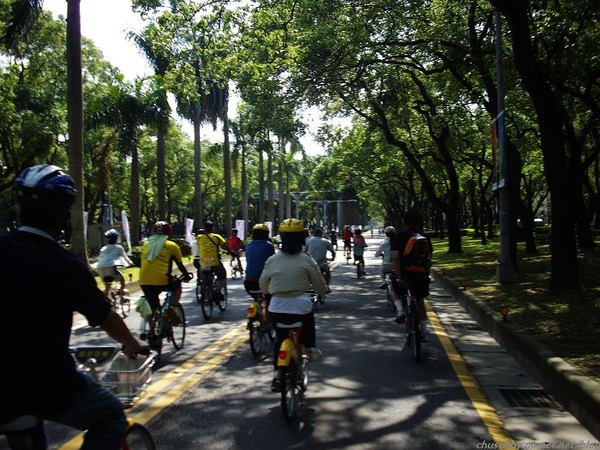 IMGP2091.jpg