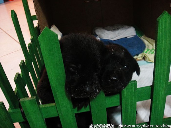 nEO_IMG_DSC00421.jpg