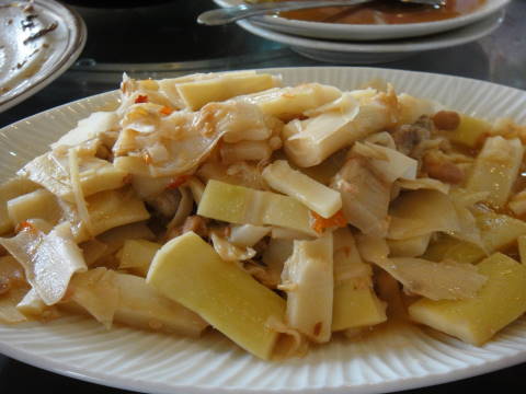 DSC00543.JPG