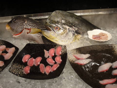 DSC00555.JPG