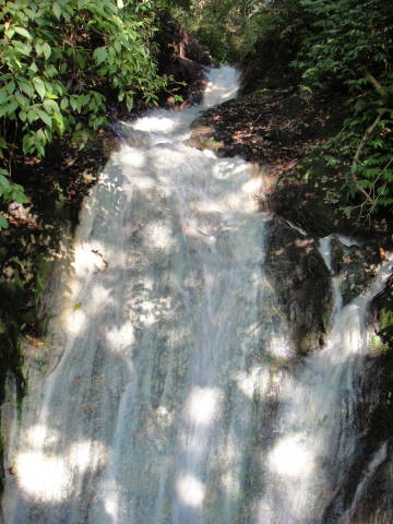 DSC00276.JPG