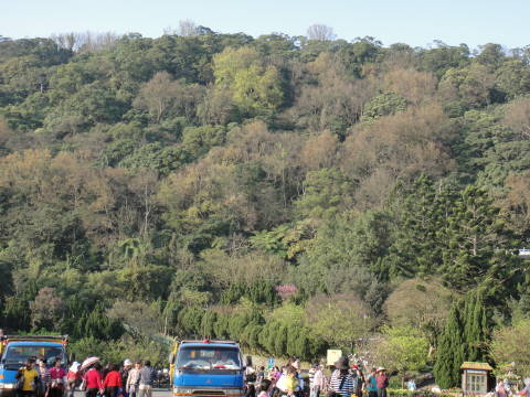 DSC00286.JPG