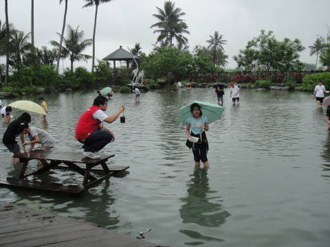 DSC00954.JPG
