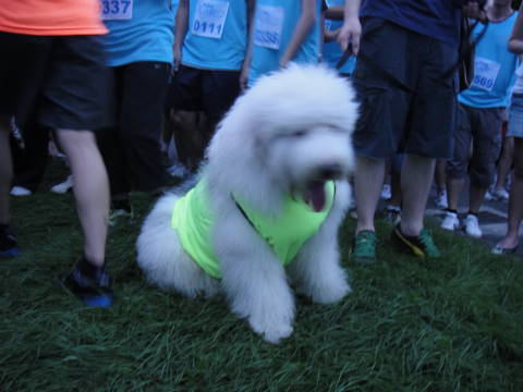 DSC00829.JPG