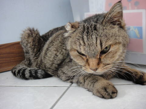 0043DSC01162.JPG