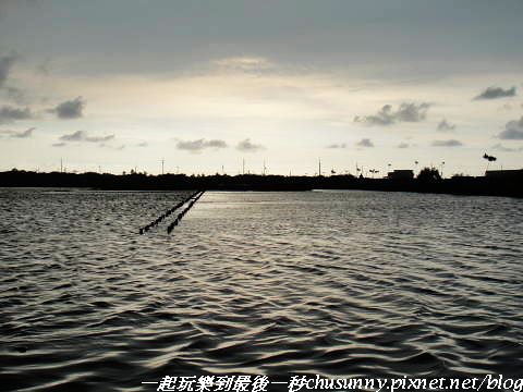 DSC01447.JPG