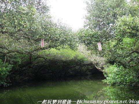 DSC01435.JPG