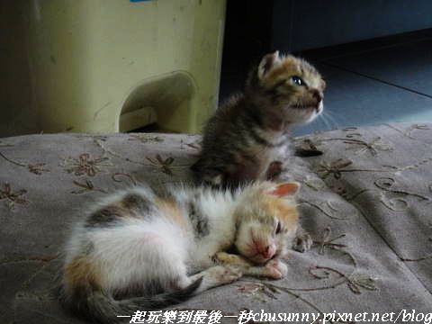 0126DSC01335.JPG