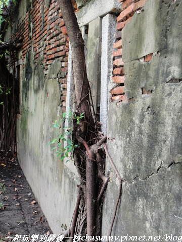 DSC01401.JPG