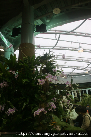 IMG_3470.JPG