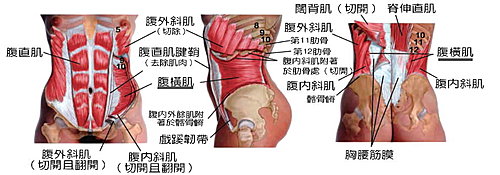 608EyvZ7VIExP7V1ZlmAKw
