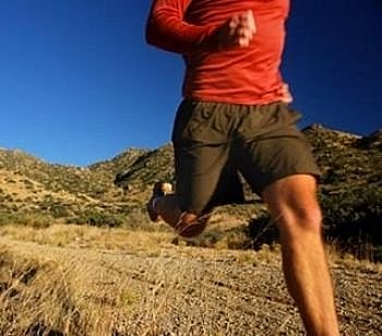 ZBbcuzI7VsZf2Th1.lzq2A