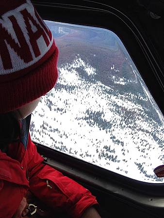 2013-11-24 13.02.22.jpg 2013-11-24 13.02.22.jpg