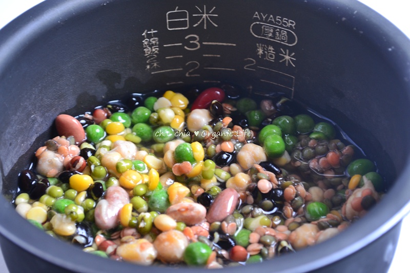 豆子催芽 (9).JPG 豆子催芽 (9).JPG
