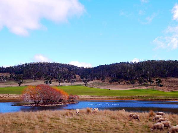 P1050206.JPG P1050206.JPG