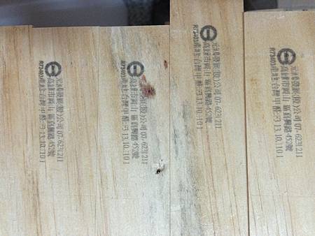 久樘法國莊園監工日誌26 久樘法國莊園監工日誌26