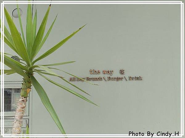 SAM_1711-s SAM_1711-s
