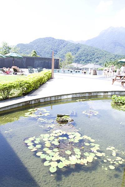 天籟體驗邀約-12 天籟體驗邀約-12