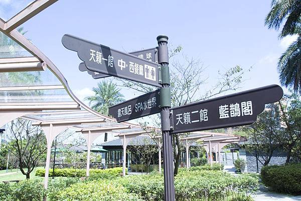 天籟體驗邀約-9 天籟體驗邀約-9