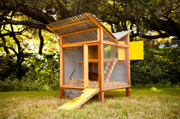 Reinventing the Chicken Coop [ 雞舍再造 ] @ Good Life :: 痞客邦 ...