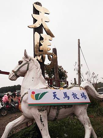 SAM_2250 SAM_2250