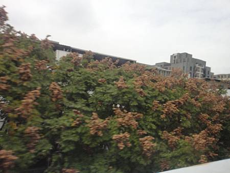 DSC03004.JPG DSC03004.JPG