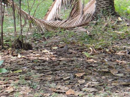 DSC03034.JPG DSC03034.JPG