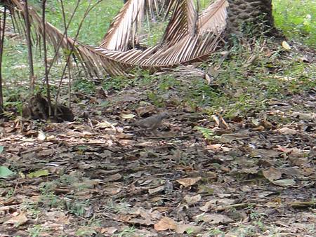 DSC03035.JPG DSC03035.JPG