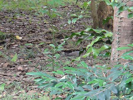 DSC03037.JPG DSC03037.JPG