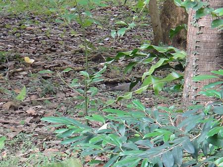 DSC03038.JPG DSC03038.JPG