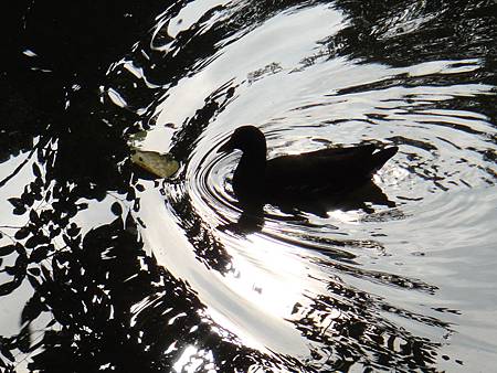 DSC03040.JPG DSC03040.JPG