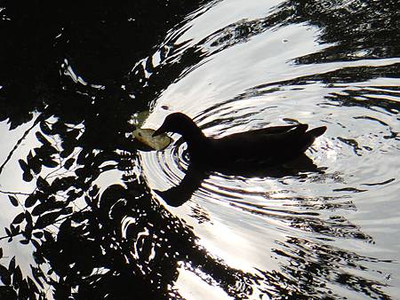 DSC03042.JPG DSC03042.JPG