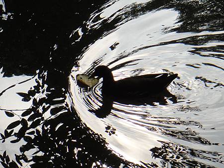 DSC03043.JPG DSC03043.JPG