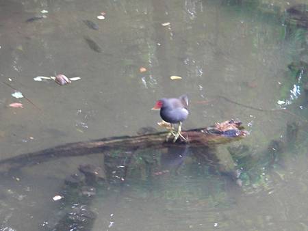 DSC03044.JPG DSC03044.JPG