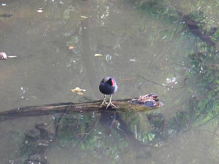 DSC03047.JPG DSC03047.JPG