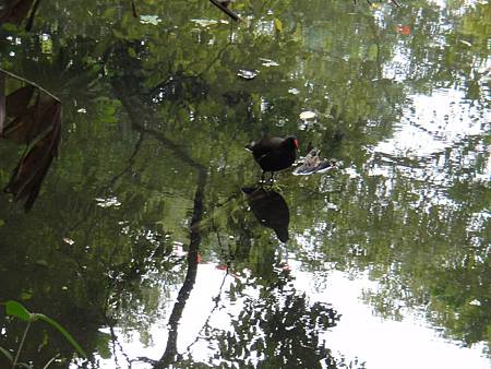 DSC03049.JPG DSC03049.JPG