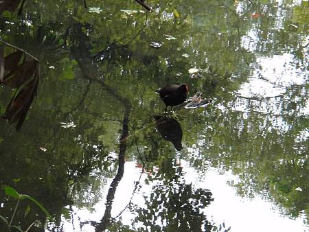 DSC03050.JPG DSC03050.JPG