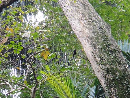 DSC03052.JPG DSC03052.JPG