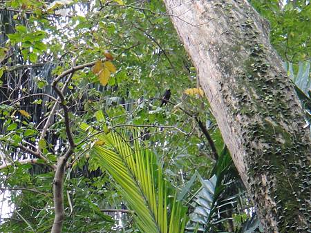 DSC03053.JPG DSC03053.JPG