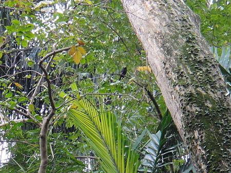 DSC03054.JPG DSC03054.JPG