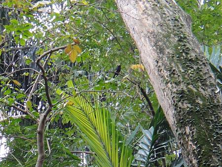 DSC03055.JPG DSC03055.JPG