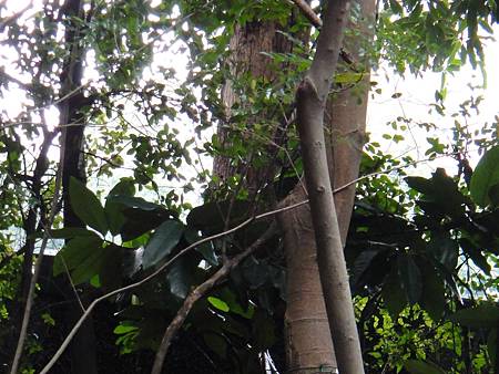 DSC03062.JPG DSC03062.JPG