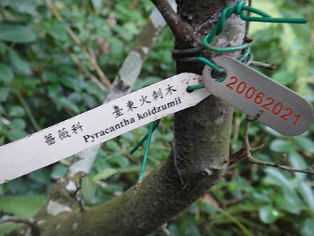 DSC03064.JPG DSC03064.JPG