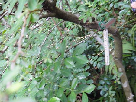 DSC03065.JPG DSC03065.JPG