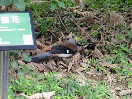 DSC03068.JPG DSC03068.JPG