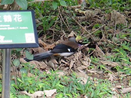 DSC03070.JPG DSC03070.JPG