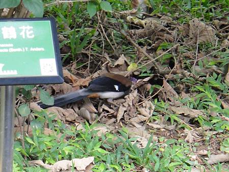 DSC03071.JPG DSC03071.JPG