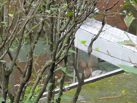 DSC03072.JPG DSC03072.JPG