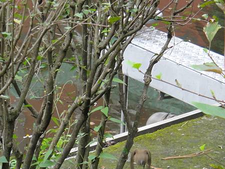 DSC03073.JPG DSC03073.JPG